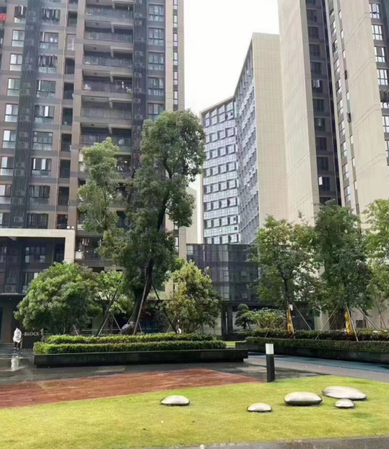 觀瀾新城締造世界級(jí)國(guó)際產(chǎn)業(yè)均價(jià)26500元/平