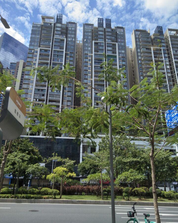 黃埔區首個城中村改造項目文沖村