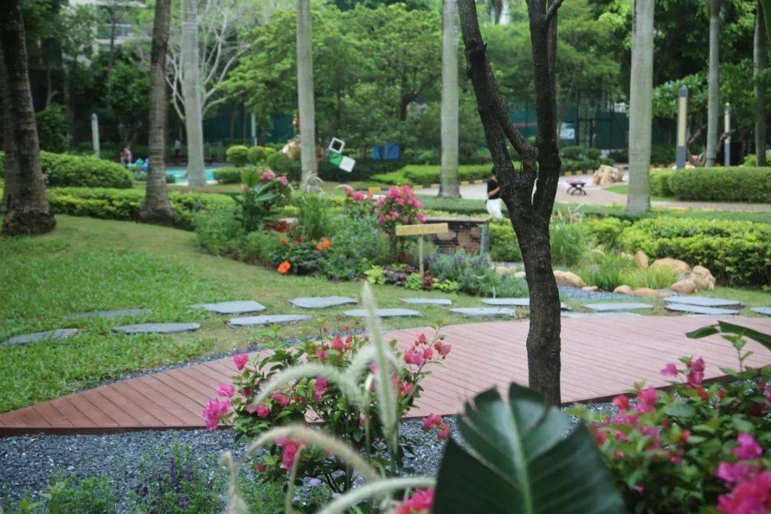 深圳每個區(qū)域的小產(chǎn)權(quán)房價格是多少