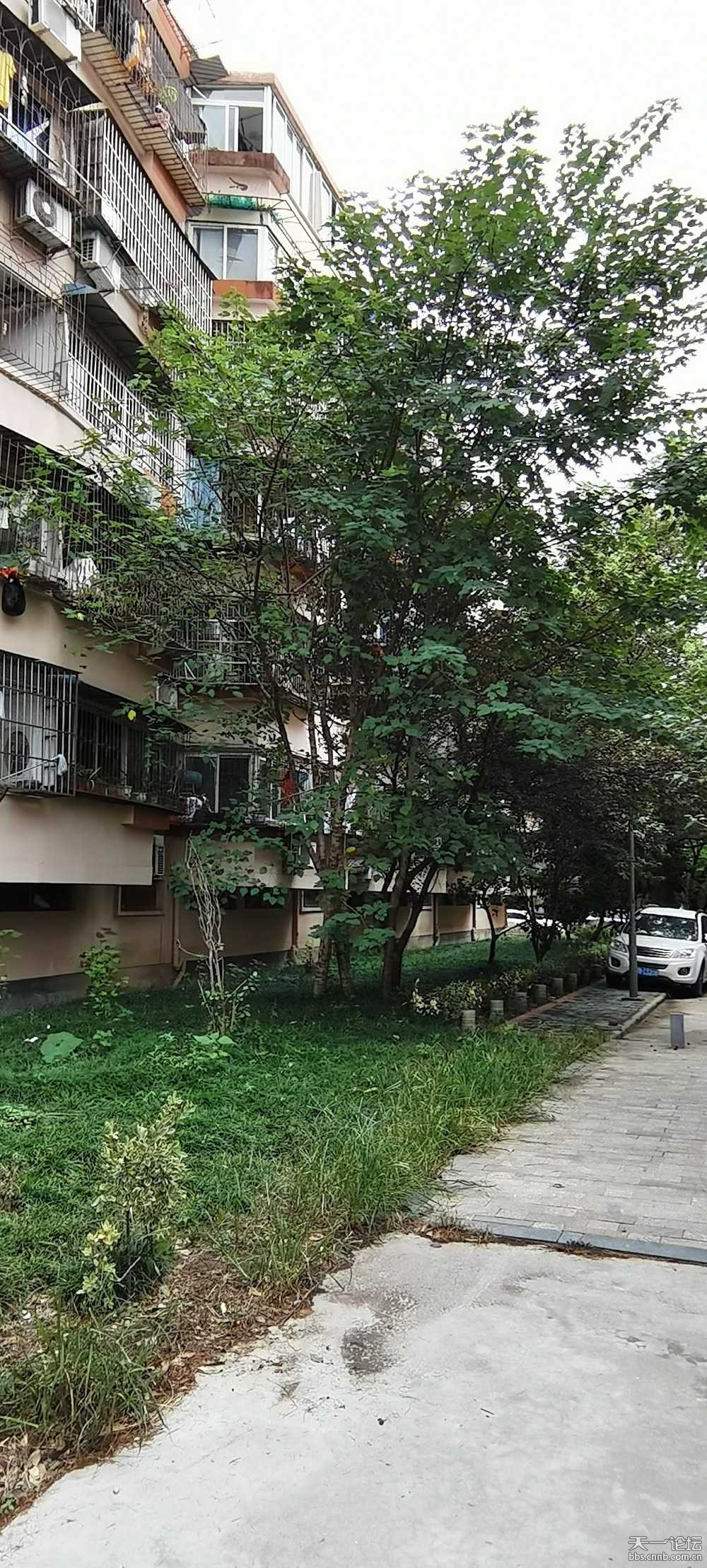 楊莊社區回遷安置房為于恒大金碧天下項目