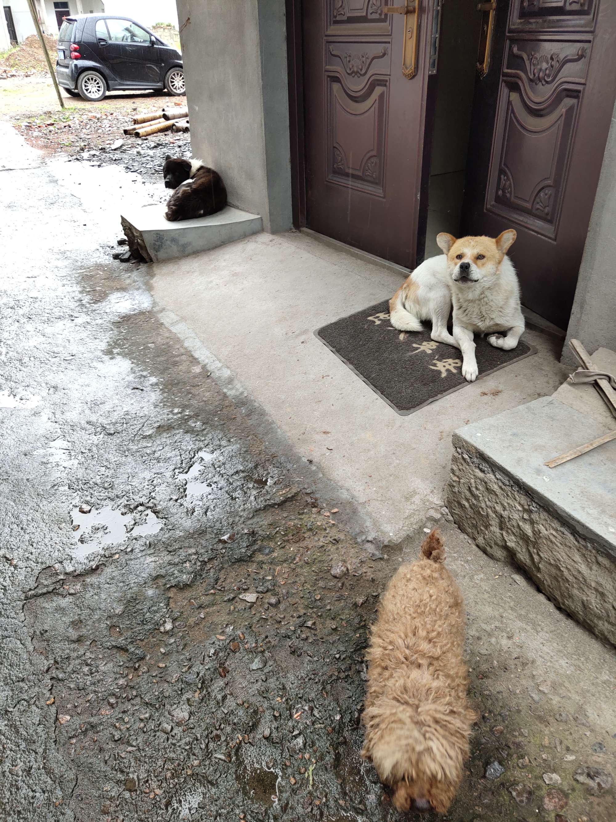 開發商建差不多的房子