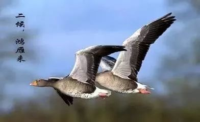 看著癱瘓?jiān)诖驳膬鹤咏^望而無(wú)助的眼神